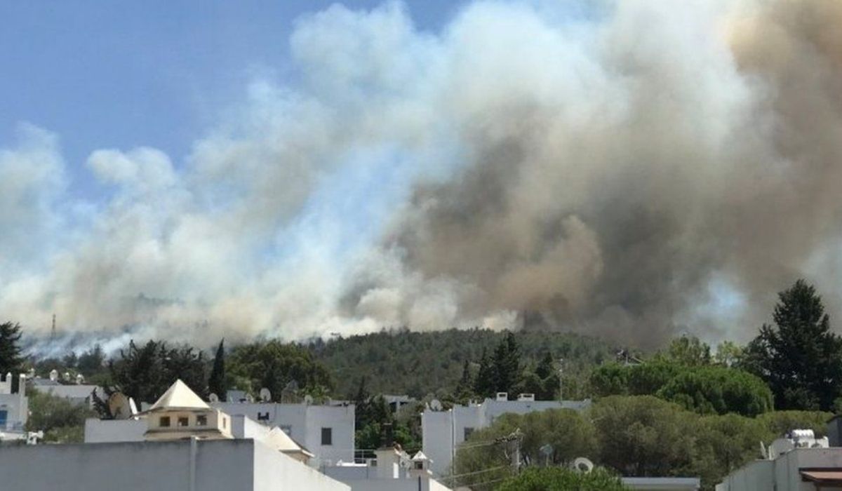 Turkey: Foreign tourists evacuated as wildfires threaten resorts
